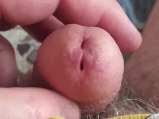 Beautiful Frenum Cock "tongue in peehole please"