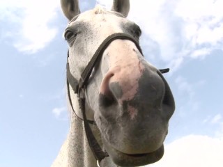 Bareback Anal After Riding Under The Sun