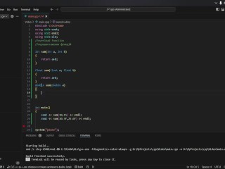 #19 Function overloading