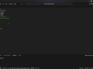 #19 Function overloading