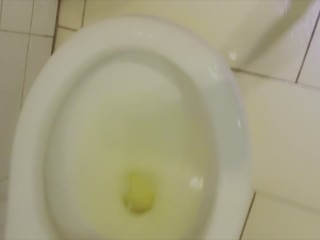 Izzy’s Pee Diary Compilation