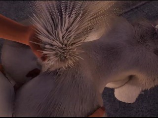 Walk With Puppies ( Wild Life )