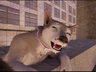 Walk With Puppies ( Wild Life )