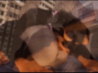 Walk With Puppies ( Wild Life )