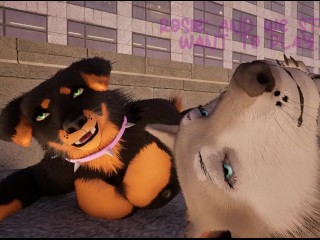 Walk With Puppies ( Wild Life )