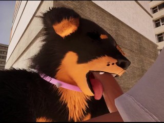 Walk With Puppies ( Wild Life )