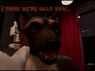 Midnight Paws & Purrs (Wild Life)