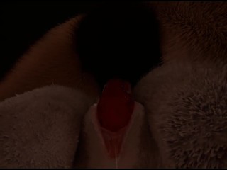 Midnight Paws & Purrs (Wild Life)