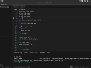 #23 Pointers(raw pointers)