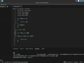 #23 Pointers(raw pointers)