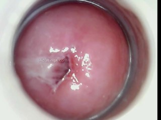 Impregnated by Blue Alien now when I cum blue semen drips from my cervix!