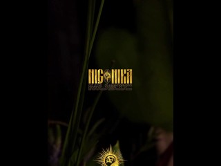 Sexy shmexy - Lam Subscribers - Video clip - nigonika music 2025 RAPORN