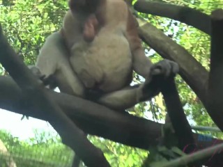 Jamie Marleigh is super happy to go to Singapore with you