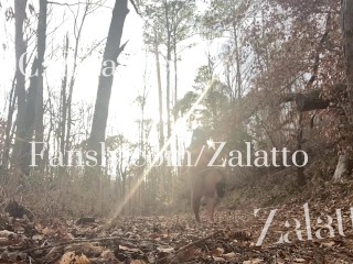 Walking Thru The Trails