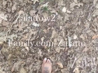 Walking Thru The Trails