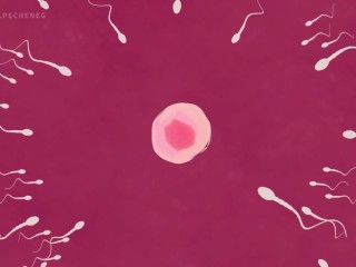 Big Booty babes from FNAF inpregnated hard