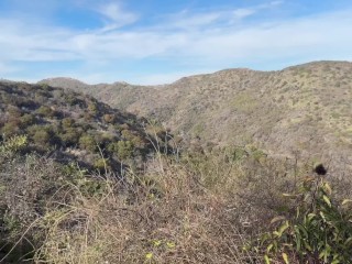 Lily Phillips Fucks Stranger In Public