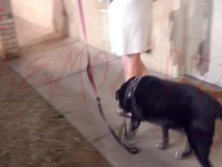 Pornhub-Exhibitionist Cyn Walks Her Dog In Short Robe At Night Teasing Her Husband