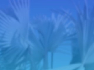 Prioritizing Wellness with Pineapple Support: Queenie Sateen