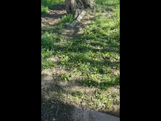 Huge pussy pissing outside