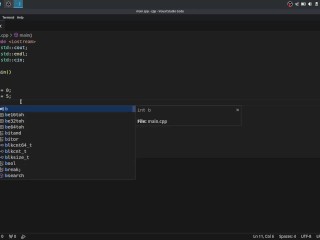 #30 Ternary Operator