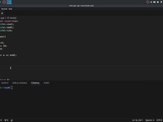 #30 Ternary Operator