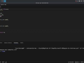 #30 Ternary Operator