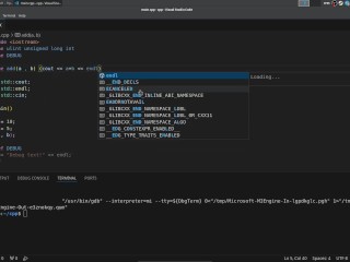 #29 Preprocessor Directives