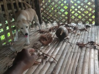 KANTUTAN Vlog Kami Muna Ni Brownie habang Wala Tao SA Kubo