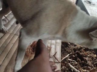 KANTUTAN Vlog Kami Muna Ni Brownie habang Wala Tao SA Kubo