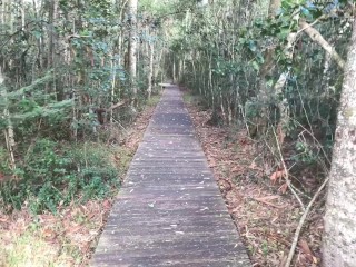 Sexcation Part 5 - We have sex in the Garden of Eden and nearly got caught