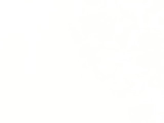 His new wife courteously acknowledges his dominance, culminating in a toilet creampie