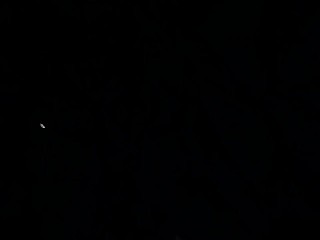 Cut the Rod % in 32.10 by Thomas Newdick