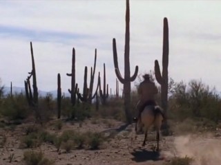 The 7th Annual Pornhub Awards - Winners