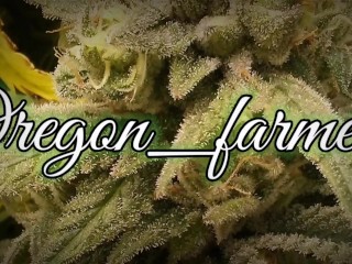 That tight ass makes me cum quick