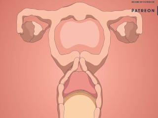 ANDROID 18 DRAGON BALL HENTAI VIDEO