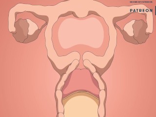 ANDROID 18 DRAGON BALL HENTAI VIDEO