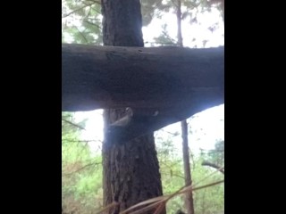 Cum-Dripping Pussy Peeing on a Log in the Forest