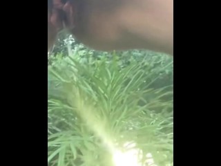 Golden Shower for My Garden -  Naughty Girl Pissing Outdoors