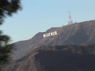 The Transsexual Housewives Of Hollywood (Full DVD)