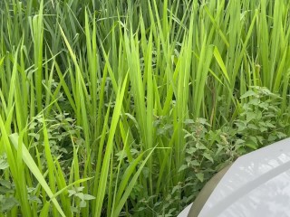 Un Desconocido coge mi culo talla XL. KIRA BLONDE