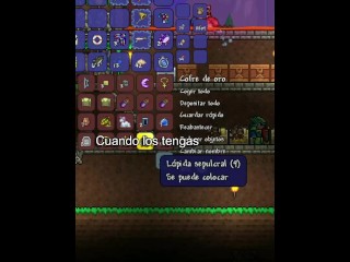 Terraria guia para el PDA