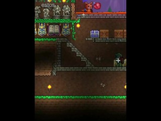 Terraria guia para el PDA