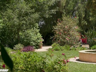 NEW SENSATIONS - Asian Student Mina Luxx Sneaks Him in And Squirts On His Big Cock