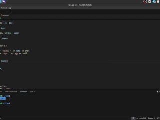 #37 Encapsulation, acess modifiers, setters & getters