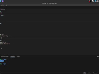 #37 Encapsulation, acess modifiers, setters & getters