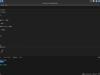 #37 Encapsulation, acess modifiers, setters & getters