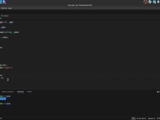 #37 Encapsulation, acess modifiers, setters & getters