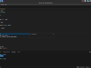 #37 Encapsulation, acess modifiers, setters & getters