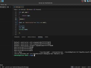 #38 Constructors & Destructions